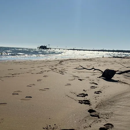 ヴィラ La Grande With Pool リニャーノ・サッビアドーロ