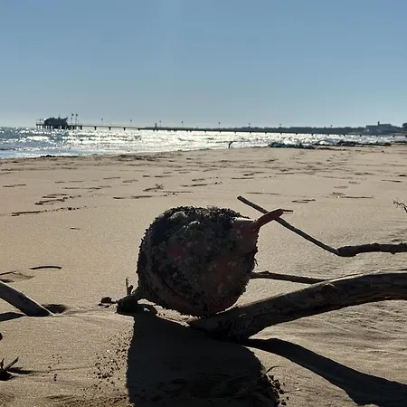 La Grande With Pool Villa Lignano Sabbiadoro