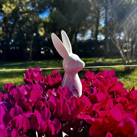 La Grande With Pool Вилла Линьяно-Саббьядоро