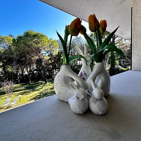 Villa La Grande With Pool Lignano Sabbiadoro